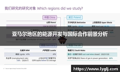 亚马尔地区的能源开发与国际合作前景分析